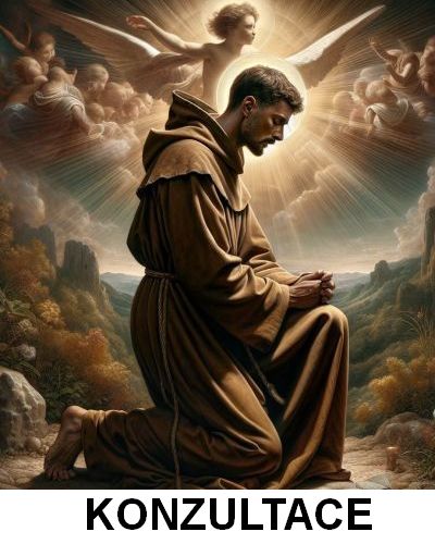 Konzultace